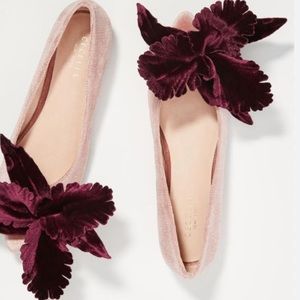 Cecelia New York Maria velvet flower flat